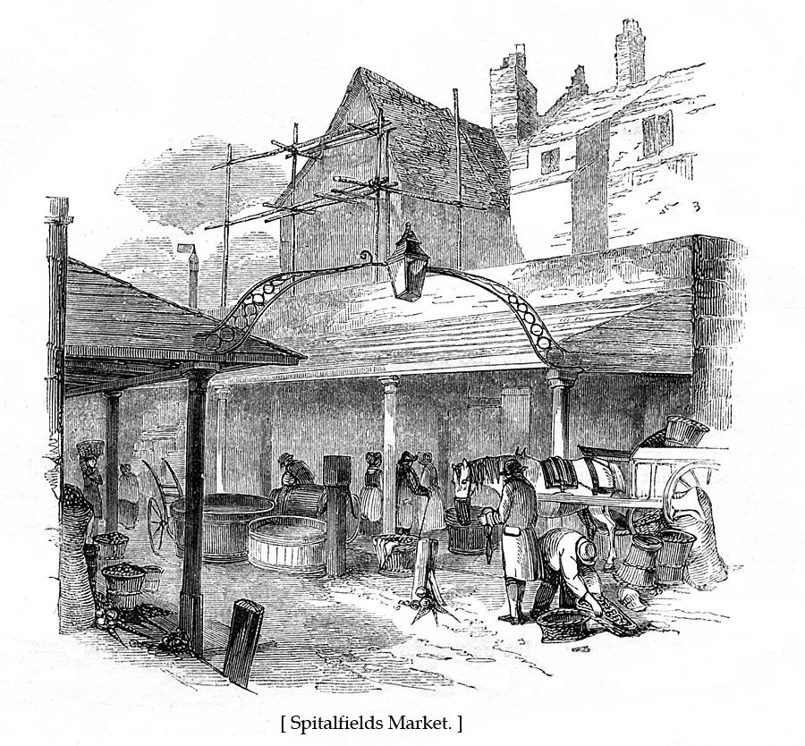 Past Events & Talks.